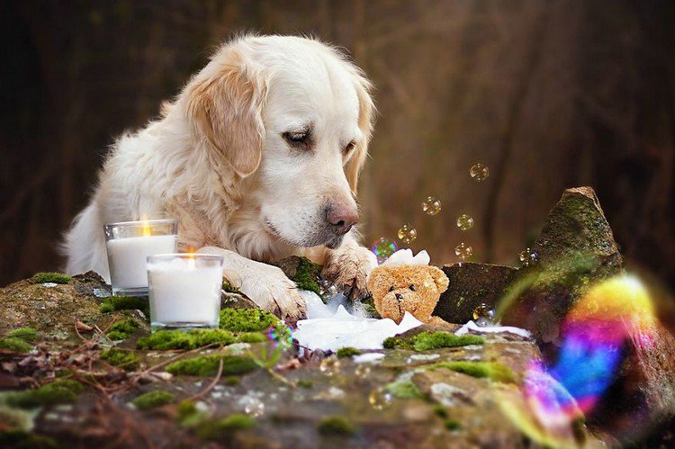 mali teddy bath candles