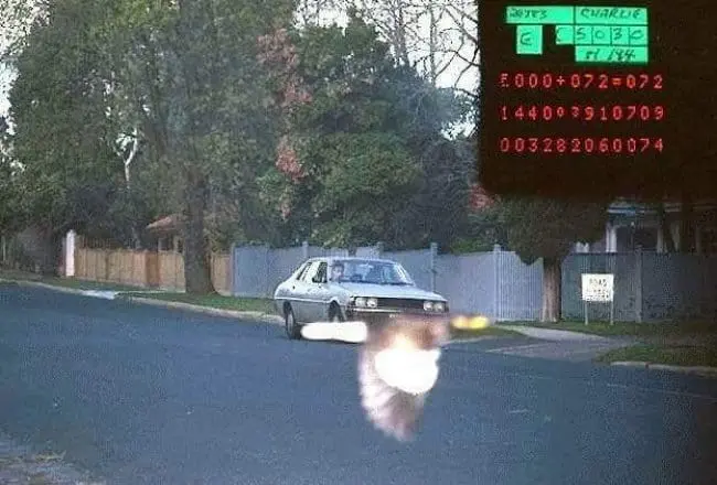 bird-concealed-speeding-cars-registration-plate-on-the-police-camera
