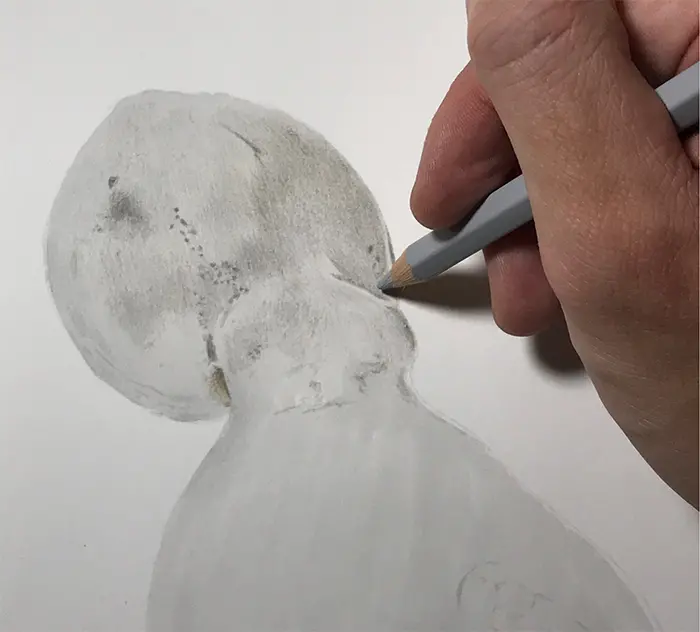 realisitc drawing octopus details