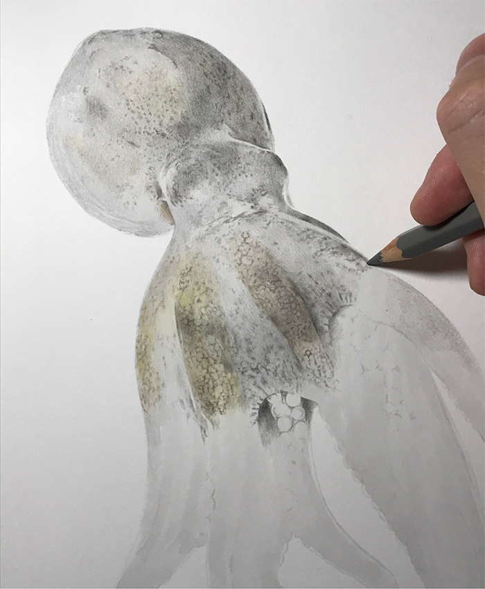 yuki tokuda uses colored pencils for detail
