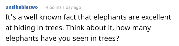 funny animal hiding attempt comment unsikabletwo